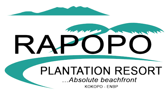 Rapopo Logo